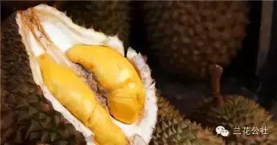 五种食物很难闻，但对女性很有益！