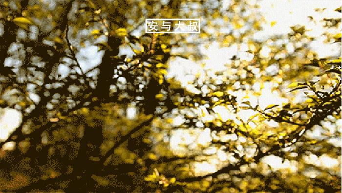 爱一定想上，想上不一定爱