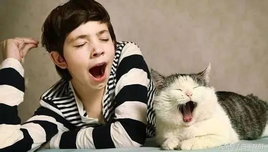 科普为什么打哈欠会传染,为什么打哈欠会传染英语ppt