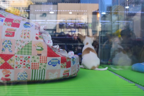 日韩邮轮游自由行,日韩航线邮轮旅游