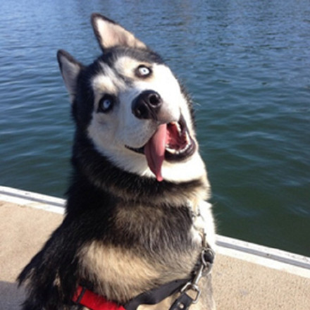 超级用户密码怎么设置,如何设置账户每次登录都需要密码