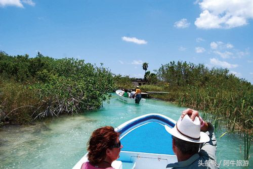 春日美丽的风景,春日里的风景美景