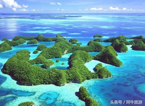 春日美丽的风景,春日里的风景美景