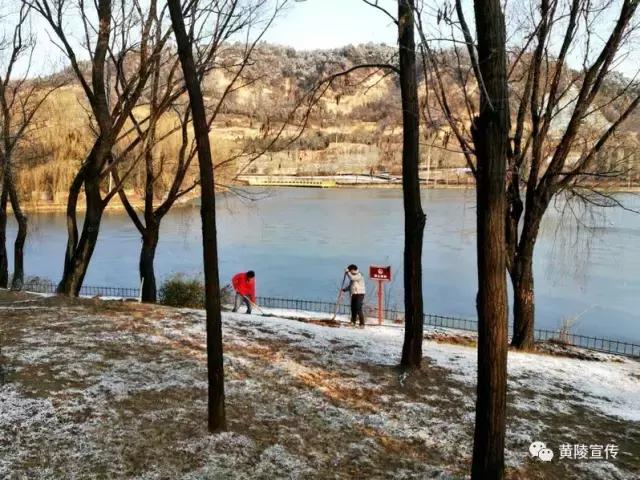 一场雪黄陵就美成了人间仙境