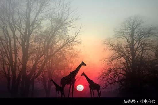 十年创业心路历程换来今天的光辉,雄关漫道真如铁的文章