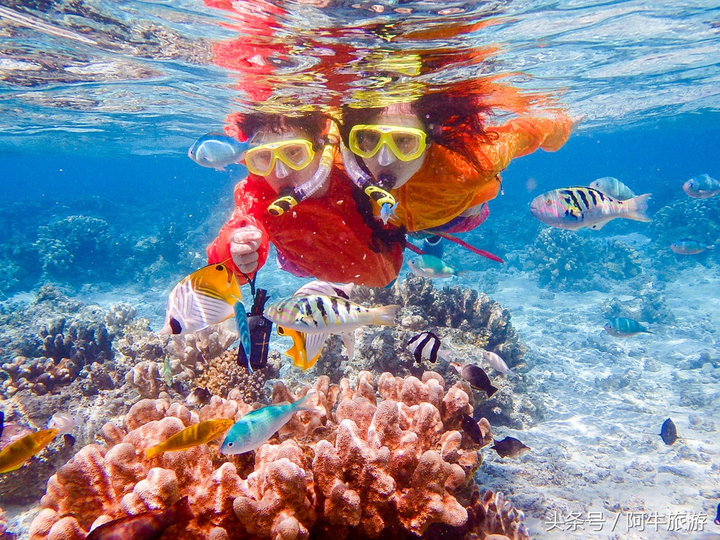 春日美丽的风景,春日里的风景美景