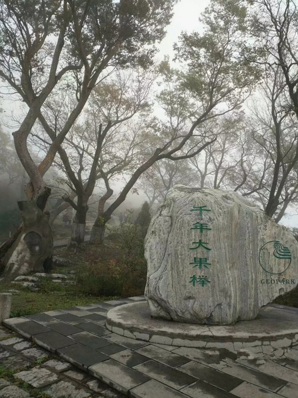 山清水秀青龙峡视频,山清水秀青龙峡