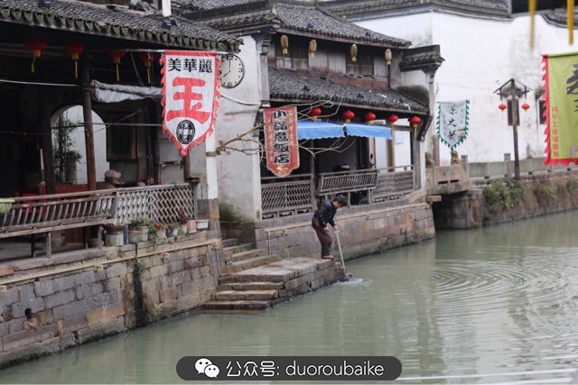 回忆之旅最适合带的植物,野外旅游必须记住的植物