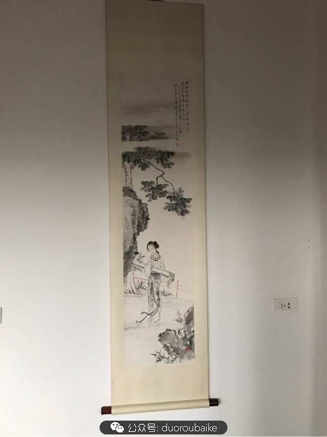 回忆之旅最适合带的植物,野外旅游必须记住的植物