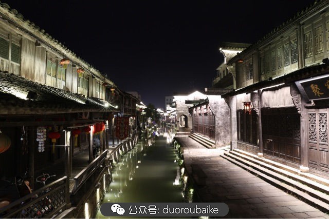 回忆之旅最适合带的植物,野外旅游必须记住的植物