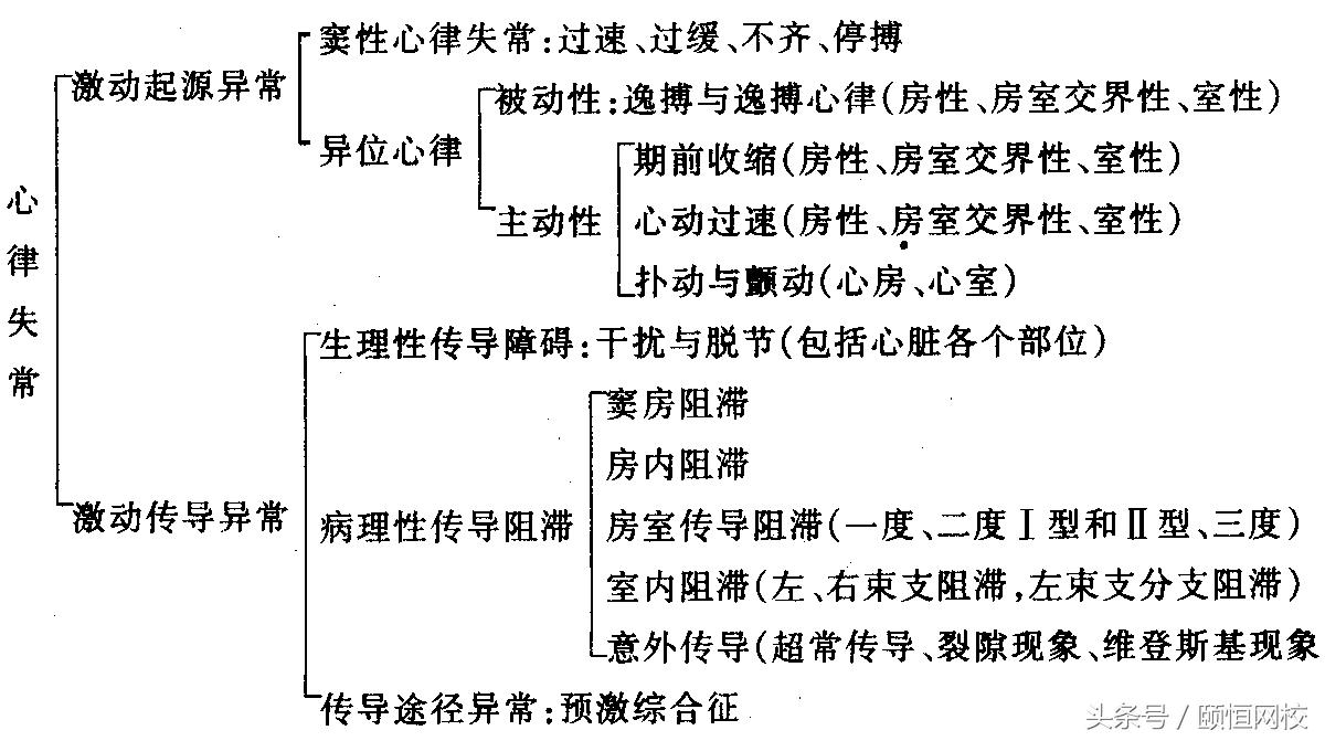 郭雅卿心电图讲解全集,郭雅卿心血管视频课