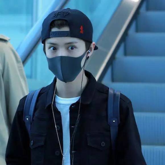 刘嘉玲张庭,刘嘉玲和张庭