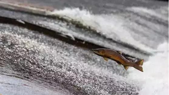 北漂为什么这么容易,北漂为什么那么容易