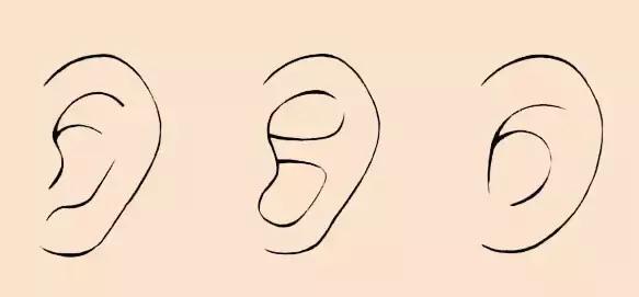 如何正确按揉耳朵,正确揉耳朵的方法
