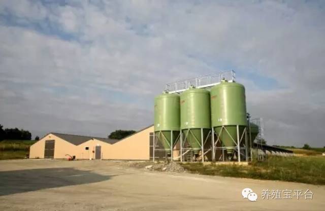 爱佳集团杨经理,杨文斌的养殖场