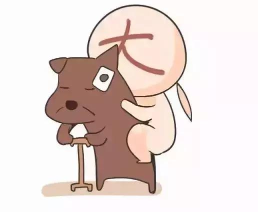 小狗屁股流血是来大姨妈吗,狗狗屁股出血是来例假了吗