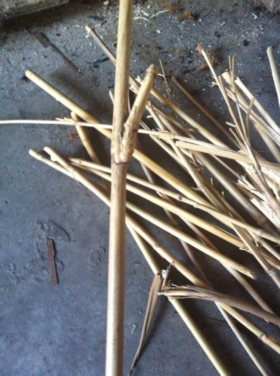 自己用竹子手工打造钓鱼竿，附上完整设计图和流程图