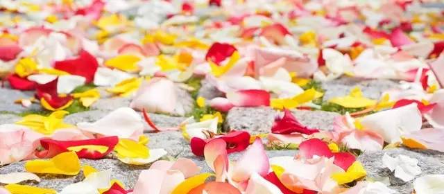 宫颈癌疫苗的最新进度,宫颈癌疫苗最新消息持续更新