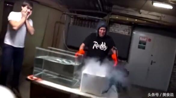 把鱼放进液氮里一天还能活吗,老外把活鱼扔入液氮