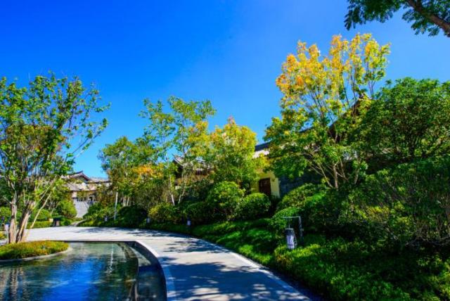 怎么拯救现在的孩子,怎么去拯救一个孩子