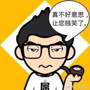 2019年支付宝年度账单搞笑图,看完支付宝年账单的你搞笑图片
