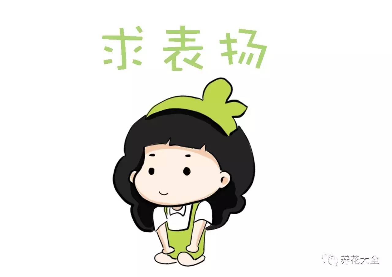 花死了花盆要不要扔,花死了要不要扔