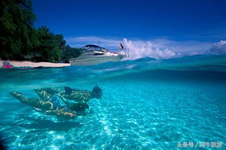 春日美丽的风景,春日里的风景美景