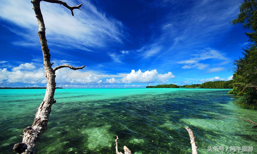 春日美丽的风景,春日里的风景美景