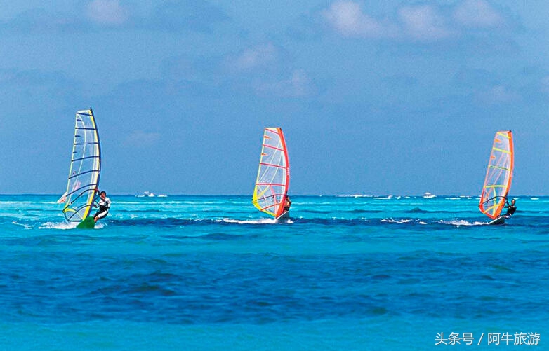 春日美丽的风景,春日里的风景美景
