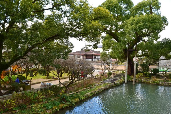 日韩邮轮游自由行,日韩航线邮轮旅游