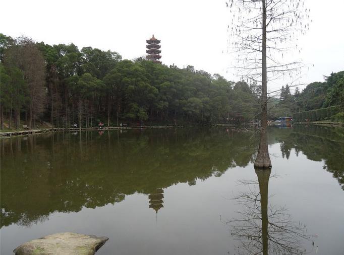 鑻嶇┕涓嬬殑澶╃┖,鑻嶇┕涓嬬殑澶╃┖涔嬪煄