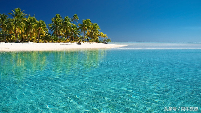 春日美丽的风景,春日里的风景美景