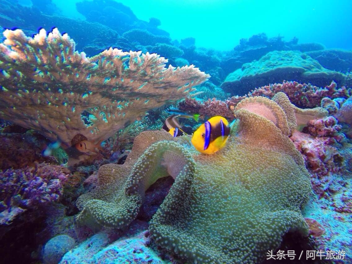 春日美丽的风景,春日里的风景美景