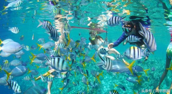 春日美丽的风景,春日里的风景美景