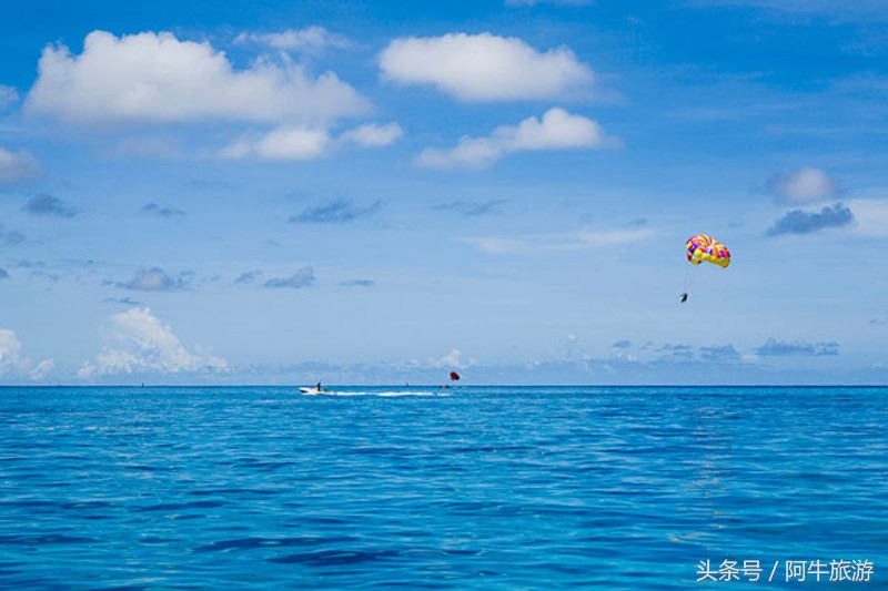 春日美丽的风景,春日里的风景美景