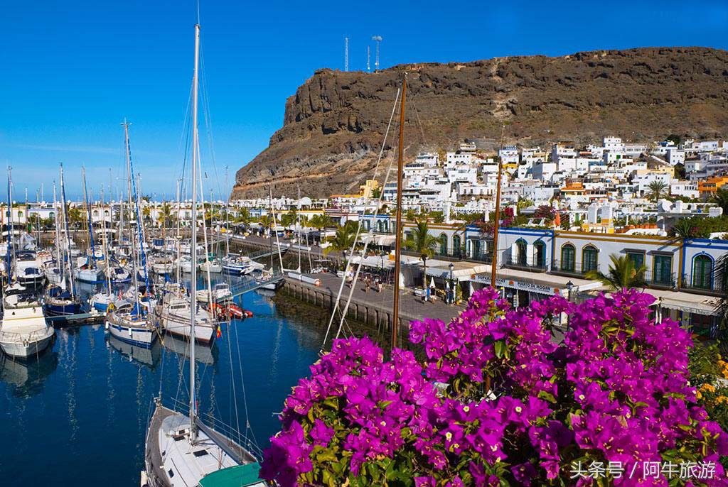 春日美丽的风景,春日里的风景美景