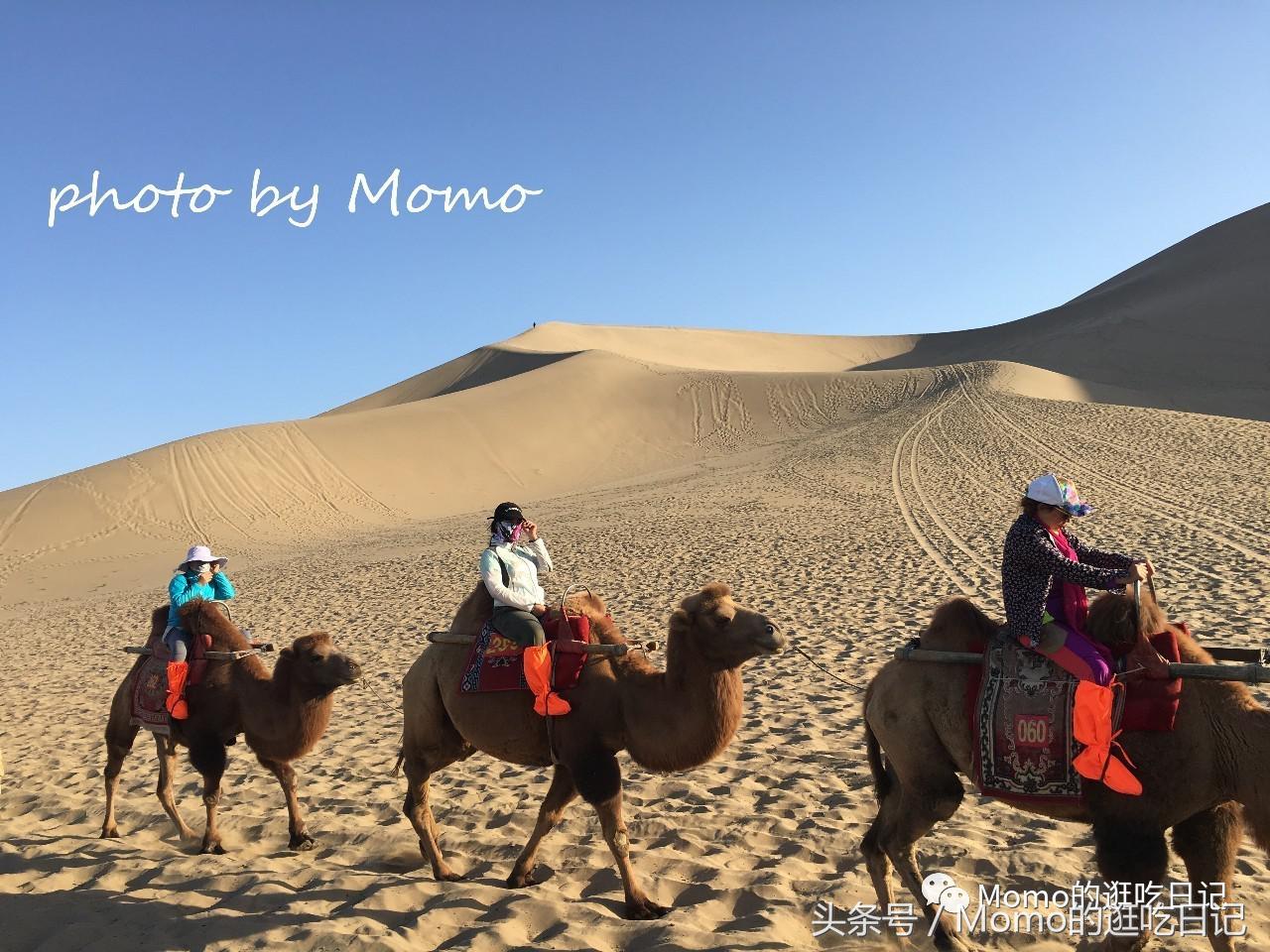 骑骆驼是怎样的一种感受？