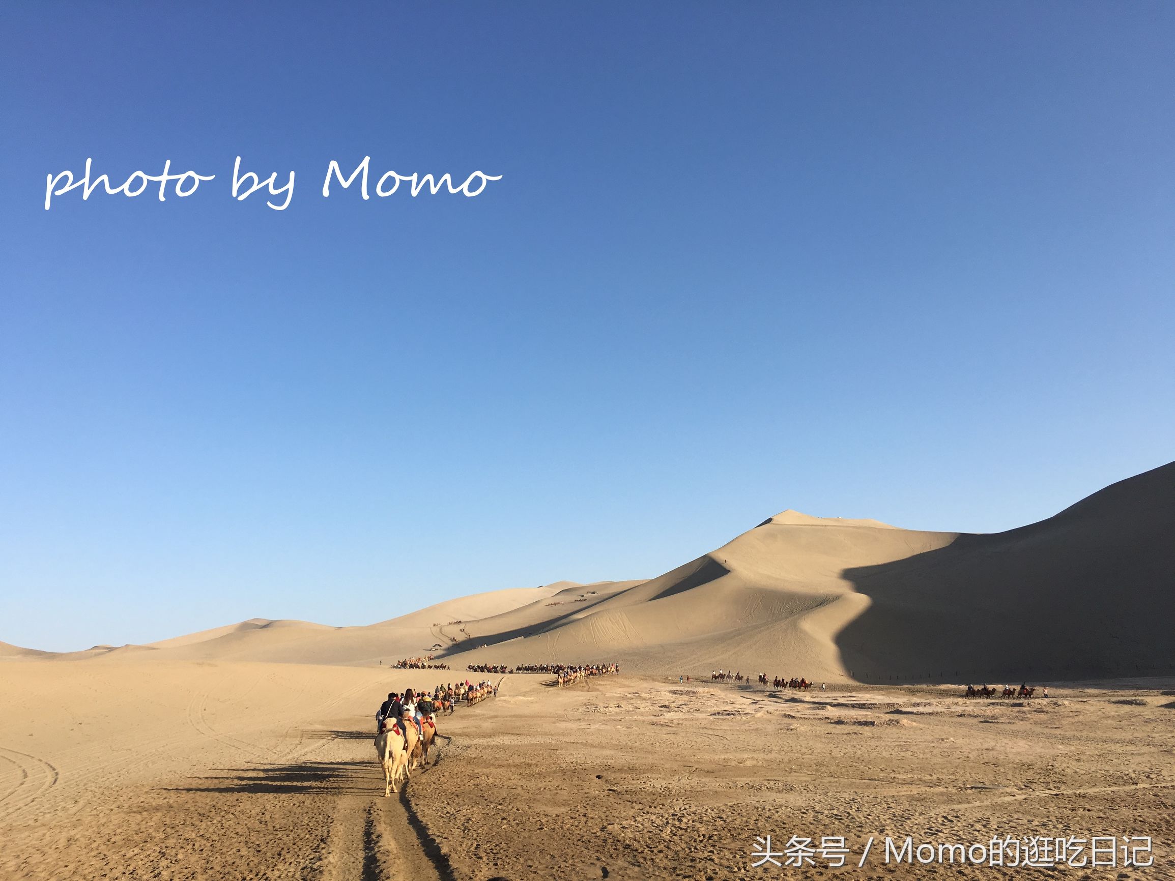 骑骆驼是怎样的一种感受？