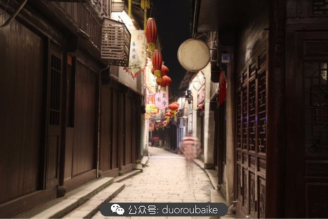 回忆之旅最适合带的植物,野外旅游必须记住的植物