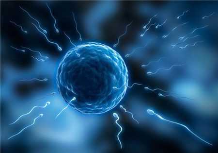 无精能做试管吗,无精做试管的可以做双胎吗