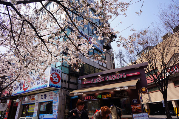 韩国购物必买100件,韩国购物攻略网站大全