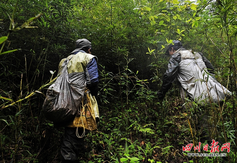 西部刀手，行走于中国道教神山四川洪雅瓦屋山，暗藏杀伐之气！