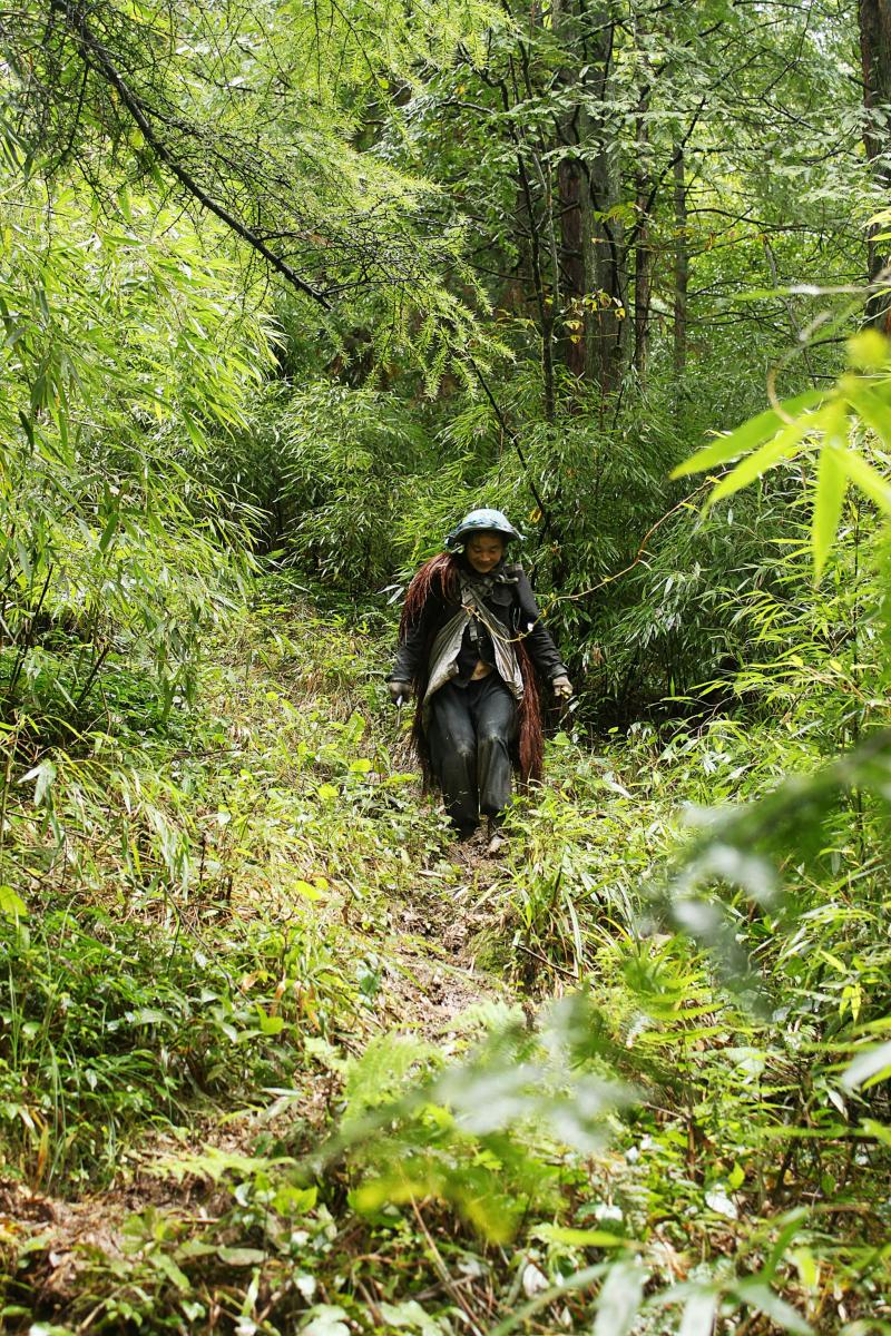 西部刀手，行走于中国道教神山四川洪雅瓦屋山，暗藏杀伐之气！