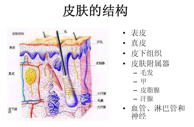 微针治痘坑涂碘伏,微针对深痘坑有效吗