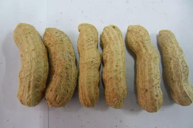 地坑院特色美食,地坑院特色小吃