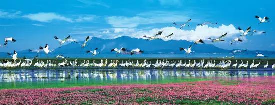 最美湖泊排名,云南9大高原湖泊