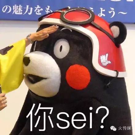 胡霍cp有爱的吗,胡霍cp到底有多强