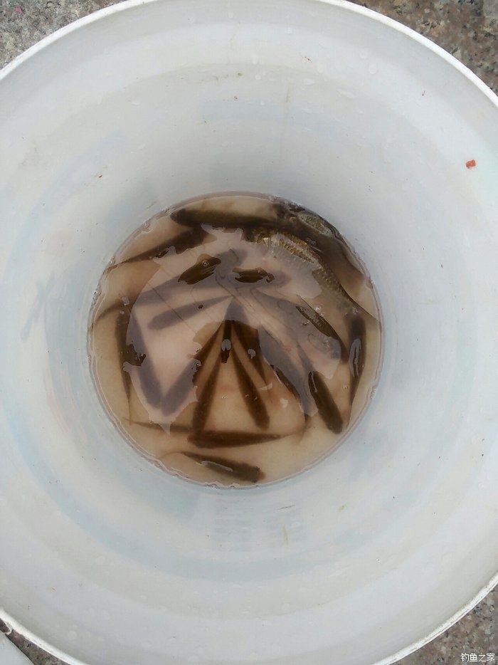 新年第一杆，解毒成功