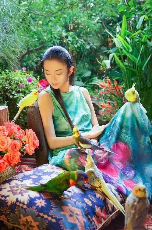 杨丽萍太阳宫与月亮宫多少钱,杨丽萍太阳宫和月亮宫的视频