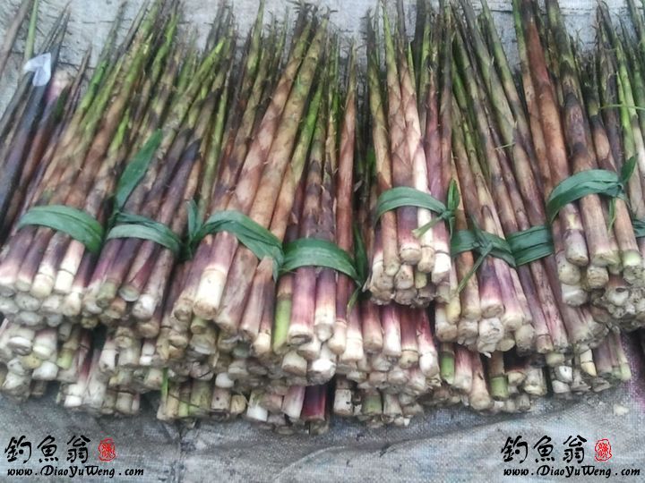 西部刀手，行走于中国道教神山四川洪雅瓦屋山，暗藏杀伐之气！